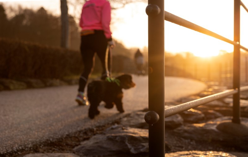 Bildet viser en kvinne som jogger i solnedgangen, men en liten hund. Bildet brukes for å illustrere siden om trening og helse