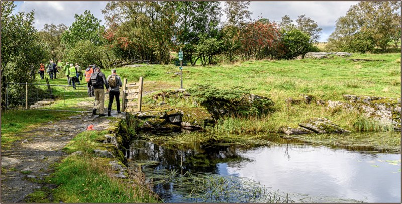 Folk går tur på en sti langs et tjern