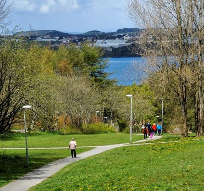 Turvei med folk på i et grønt drag ned mot et større vann