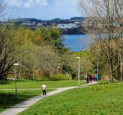 Turvei med folk på i et grønt drag ned mot et større vann