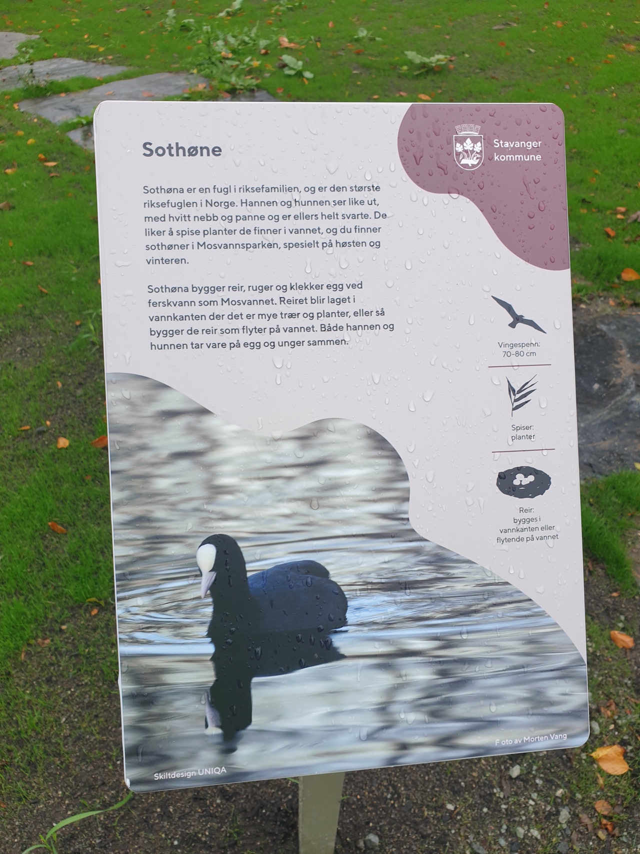 Skilt med tekst om Sothøne