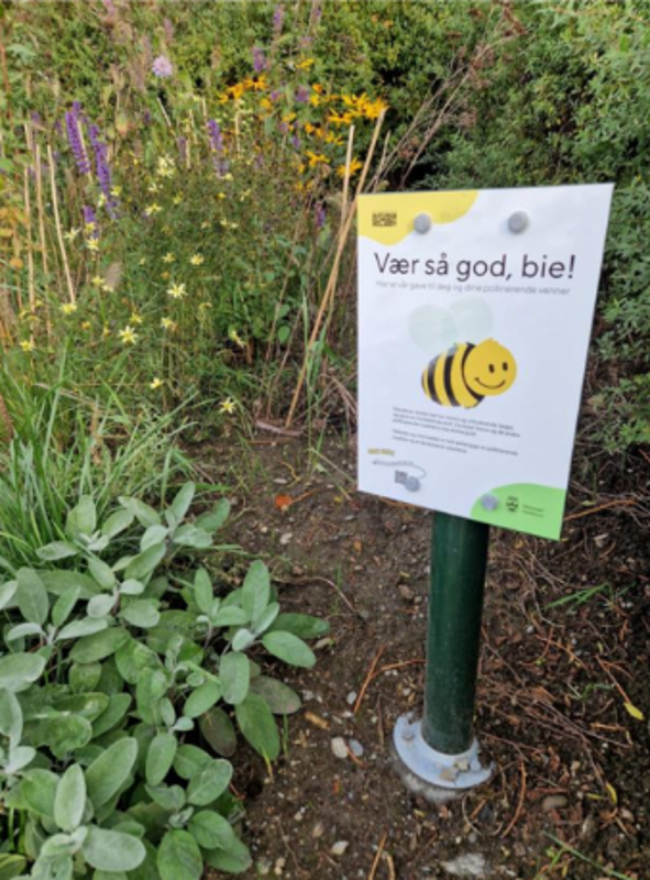 Bilde av informasjonsskilt i blomsterbed