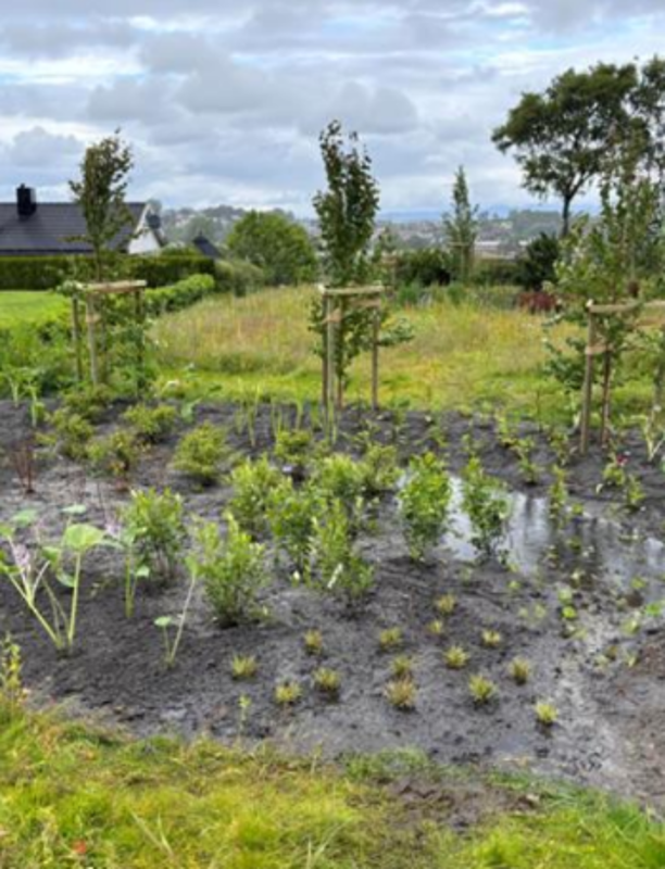 En bløt mark er plantet