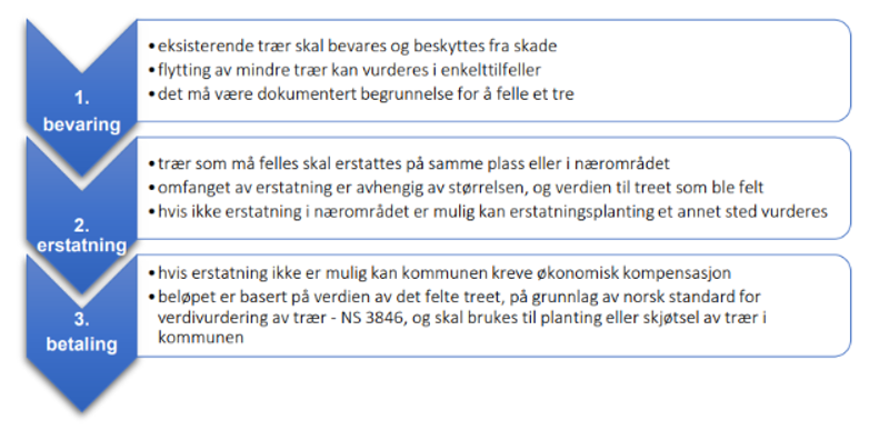En oversikt over hva vi prioriterer for behandling av trær