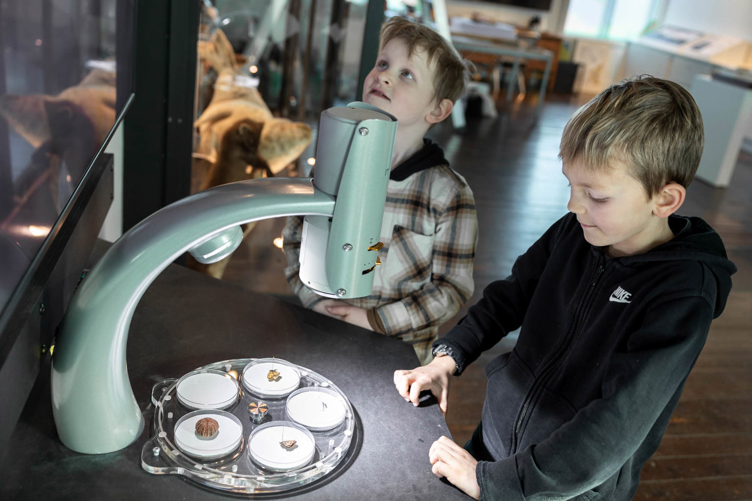 Foto: Fra utstillingen «Vår natur?» på Stavanger museum med Norsk barnemuseum Foto: Fra utstillingen «Vår natur?» på Stavanger museum med Norsk barnemuseum