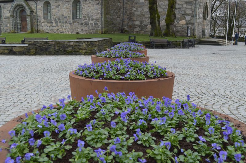 Sommerblomster i Stavanger. (Foto: NIS)