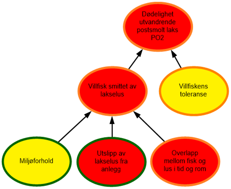et flytdiagram som virker faktorer som avgjør påvirkningen på vill laks