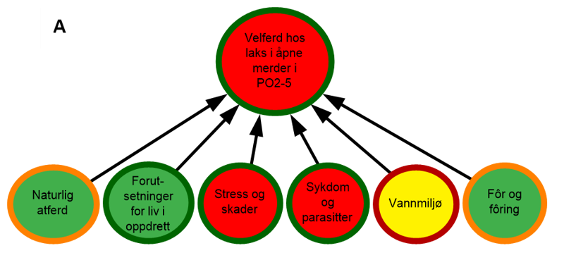 PO2 er særlig utsatt for PD og lakselus. Det blir også observert mye gjelleskader.
