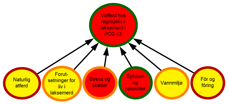 På bakgrunn av høy dødelighet og skadefrekvens under håndtering, utsortering og lusebehandling vurderes tilstanden for stress og skader som langt fra ønsket tilstand. 