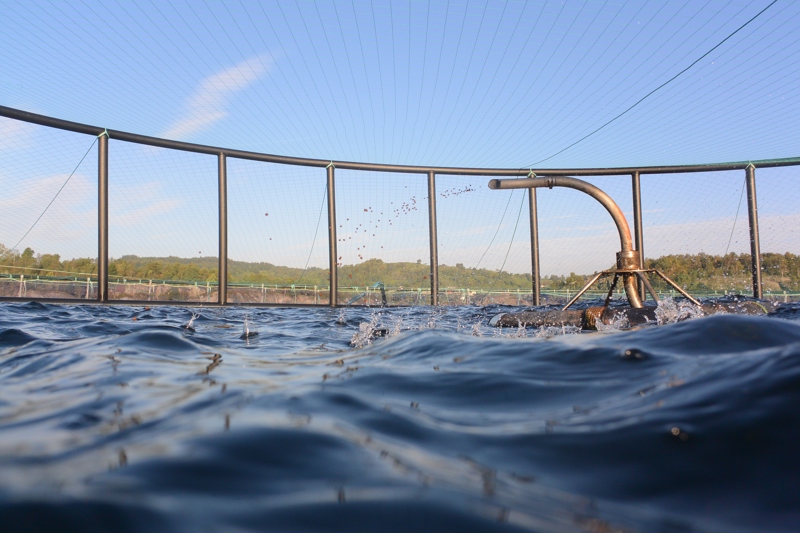 Dette er et bilde av en lokalitet