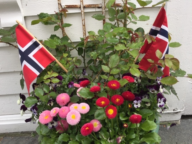 17. mai - blomster i gamle Stavanger