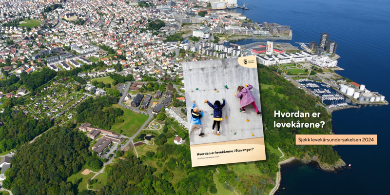 Flyfoto storhaug, med faksimile av Levekårsundersøkelsen