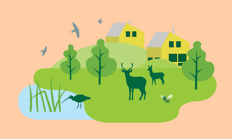 Illustrasjon av natur og dyr