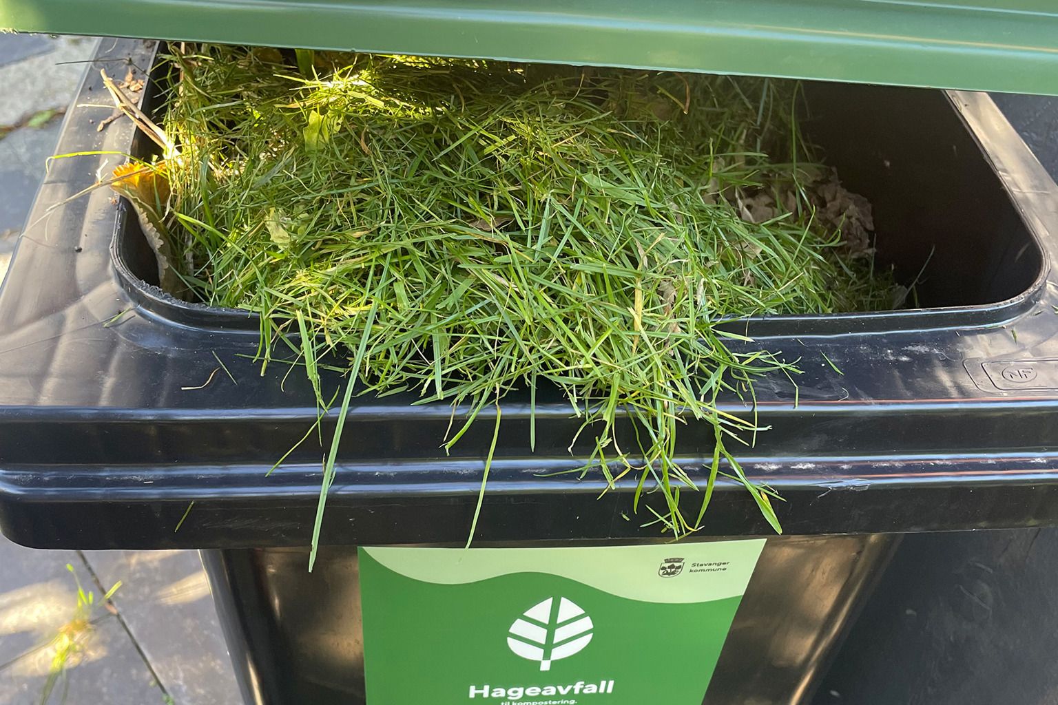 halvåpen avfallsbeholder med grønt lokk og med mye grønt gress i.