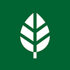 piktogram for hageavfall, hvitt blad på grønn bakgrunn