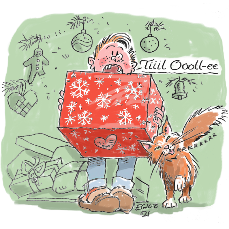 Liten gutt leser pakkelapp på julegave