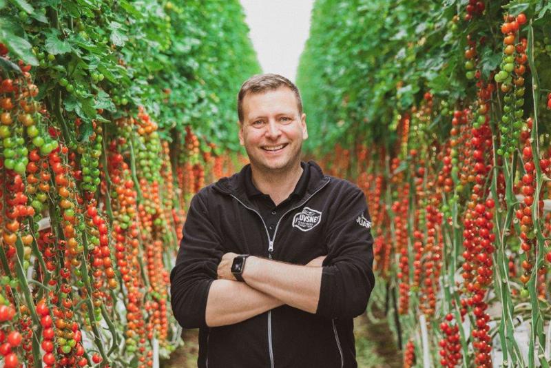 Jan Terje Vignes i drivhuset sitt med mange tomater