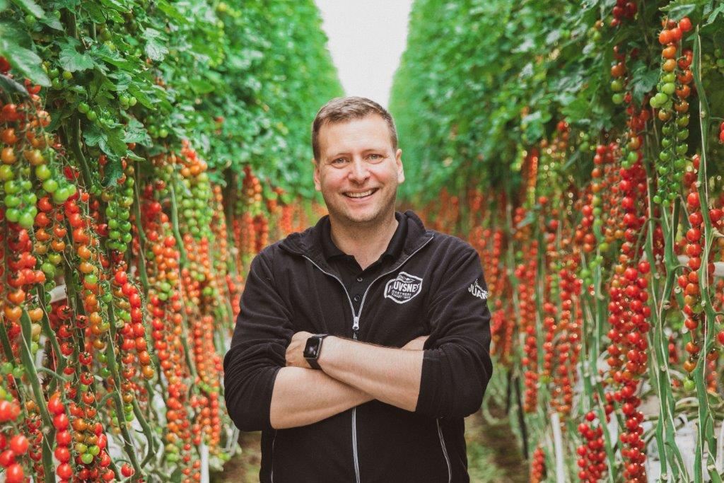 Jan Terje Vignes i drivhuset sitt med mange tomater
