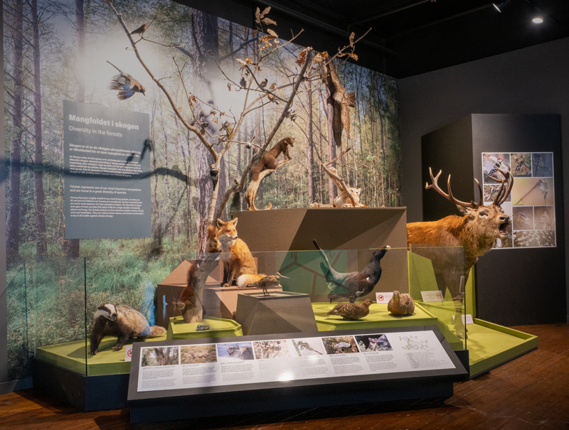 Utstilling på Stavanger museum. Besøkende kan vandre i flere av økosystemene som vi har i Rogalandsnaturen og møte dyrene som lever der. Økosystemene byr også på nærkontakt med fem utvalgte dyr. 