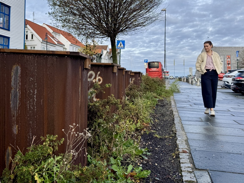 Stine Bjerga Haga studerer det 5,5 meter lange flaumvernet.