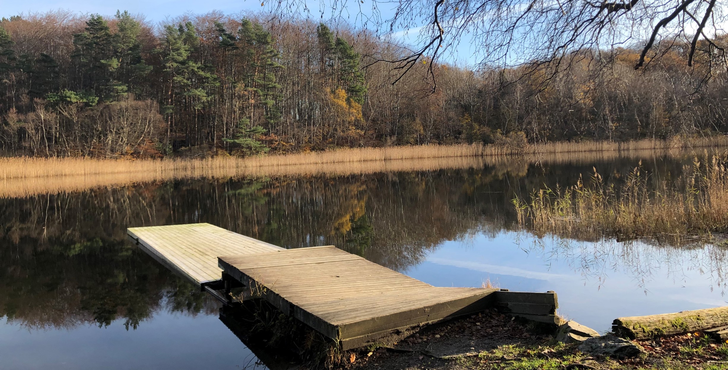 Viser brygga og naturen nedenfor Dyrsnes naturlåve i fine høstfarger.