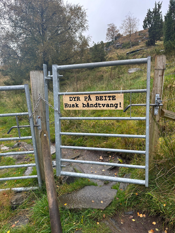 Skilt som sier: Dyr på beite, husk båndtvang