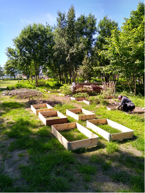 Nabolagshagen Pådriv i Hillevåg. Foto: Al Greenall 