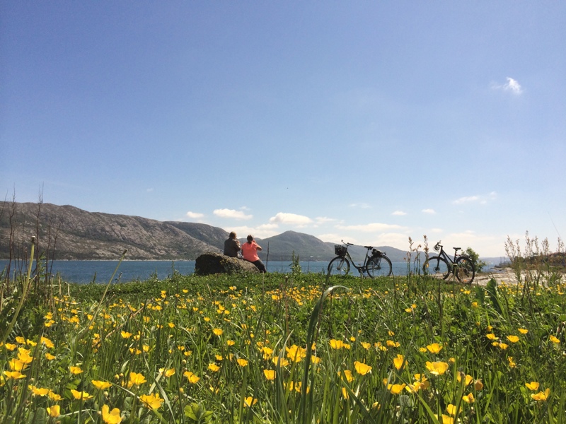 Blomstereng med gul blomst i forgrunnen, syklister har tatt en pause i bakgrunnen. 