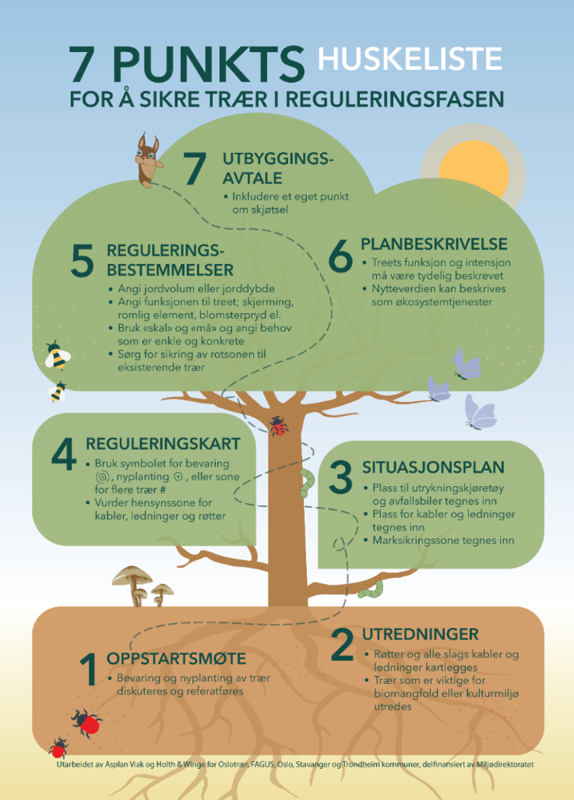 En illustrasjon av et tre med 7 punkter til planprosesser.