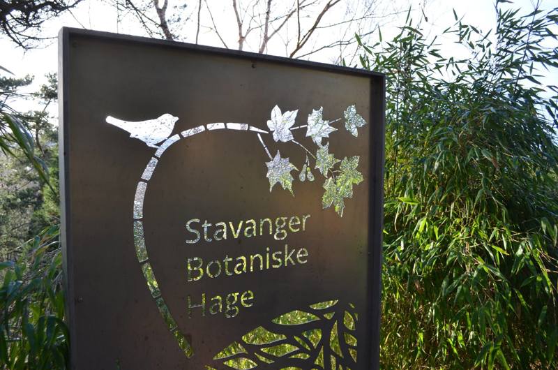 Stavanger botaniske hage