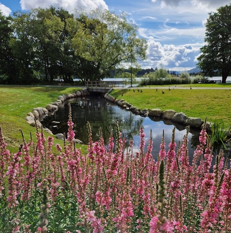 Elv/bekk som renner ved turveien og ut i Mosvatnet