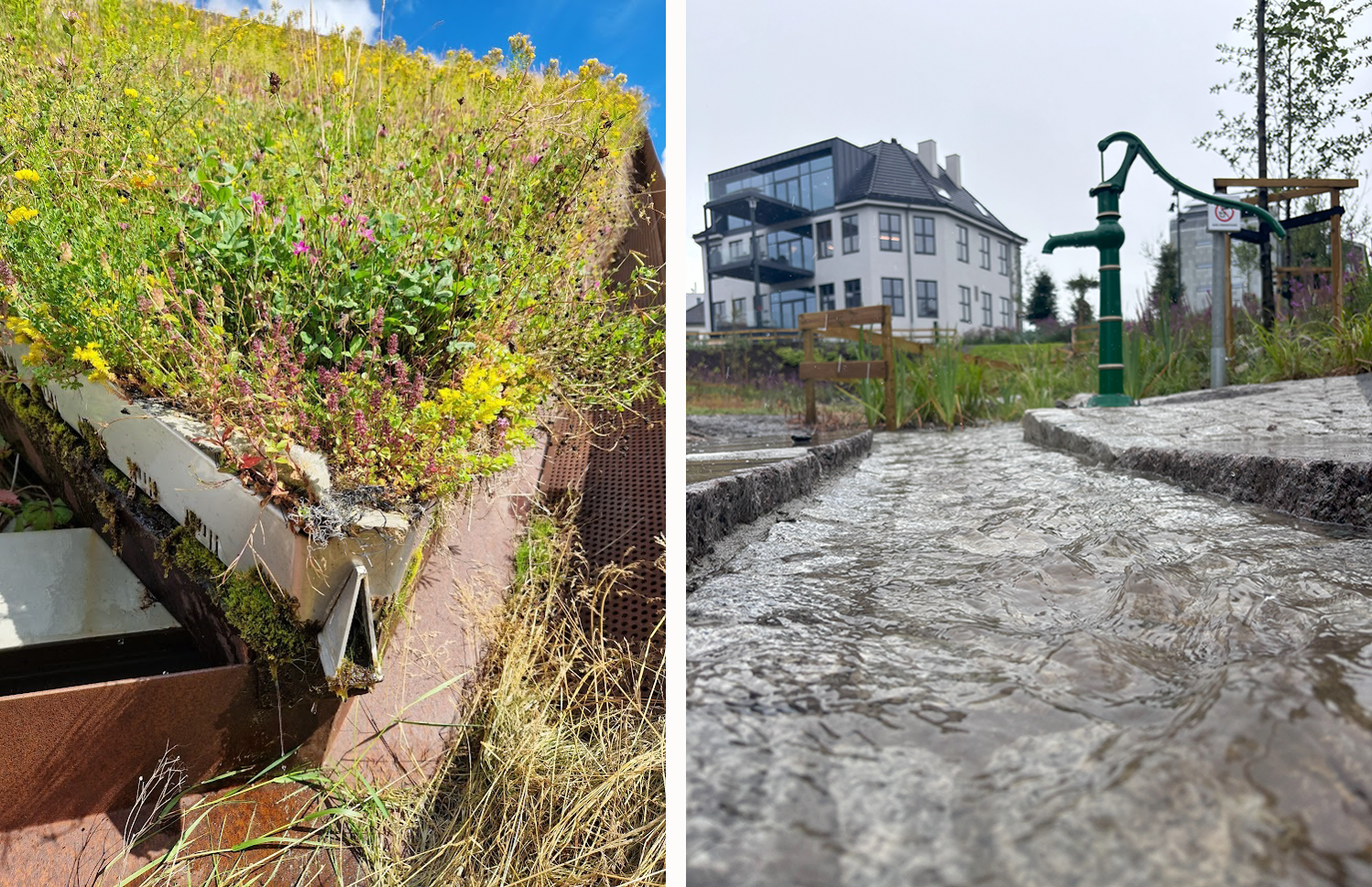 Til venstre: Frodig grønt tak på et bygg. Til høyre: Pumpe ved regnvann som renner som en bekk.