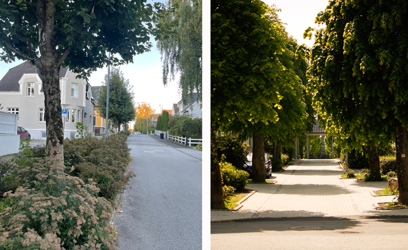 Til venstre: Trær som vokser opp fra bed med masse bukser. Til høyre: allé med fire trær på hver side, og en port til kirkegård innerst i bildet. 