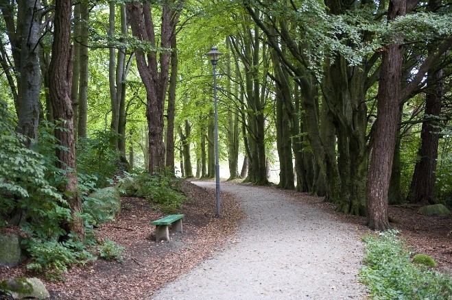 Parkskog ved Mosvatnet