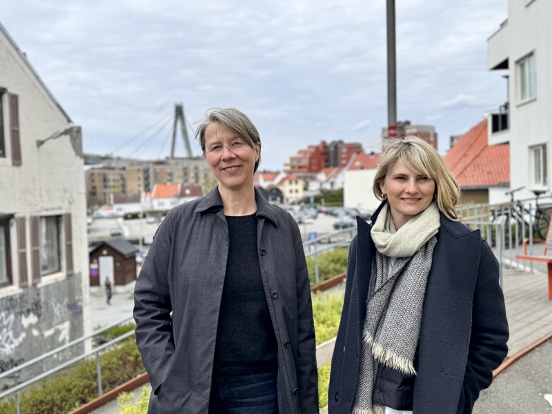 Asplan Viak ved Tonje Broch Moe og Karen Hatleskog Zeiner.