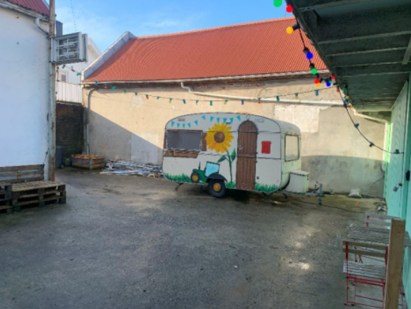 Byhage i bakgården i Nymannsveien 40a