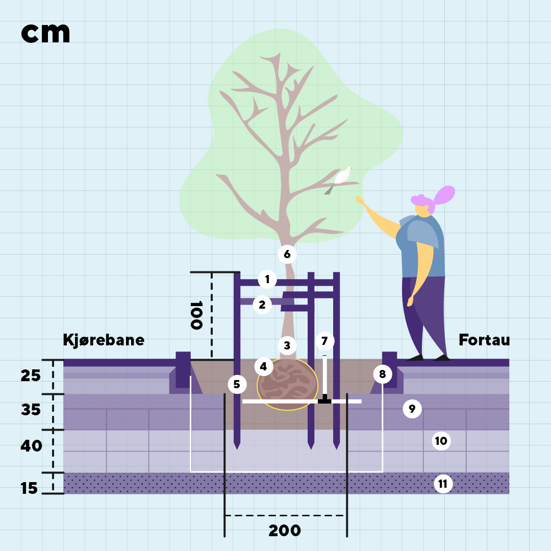 Figur som viser teknisk beskrivelse av plantet tre