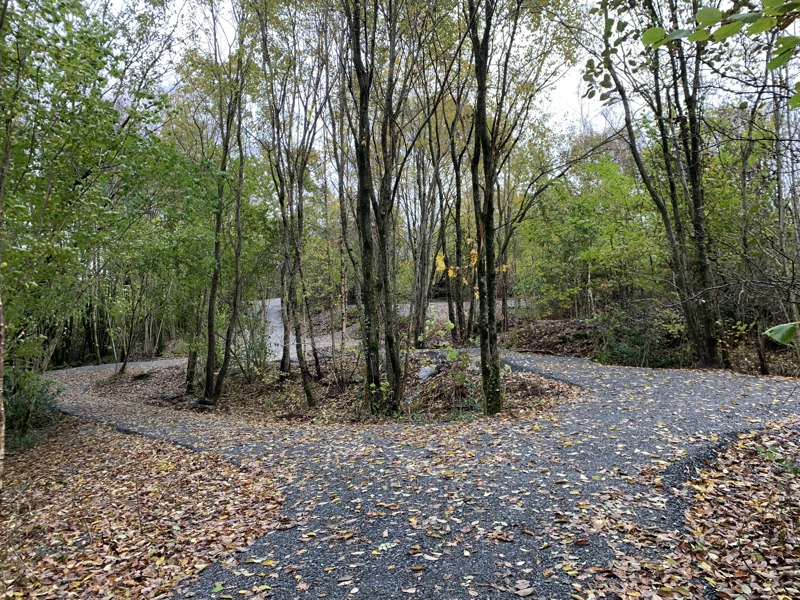 Løypa svinger gjennom småskogen 