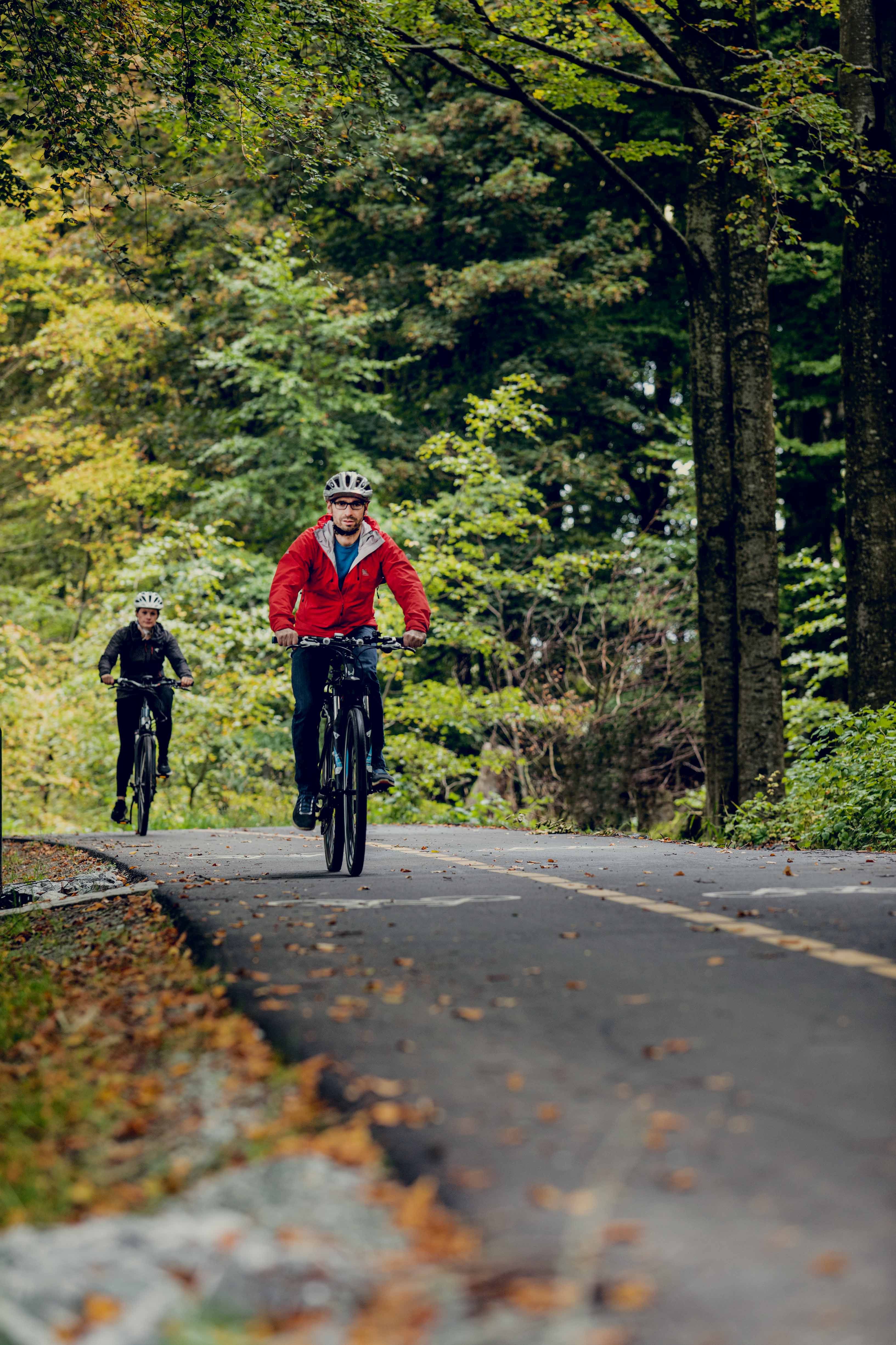 To syklister i Vålandskogen