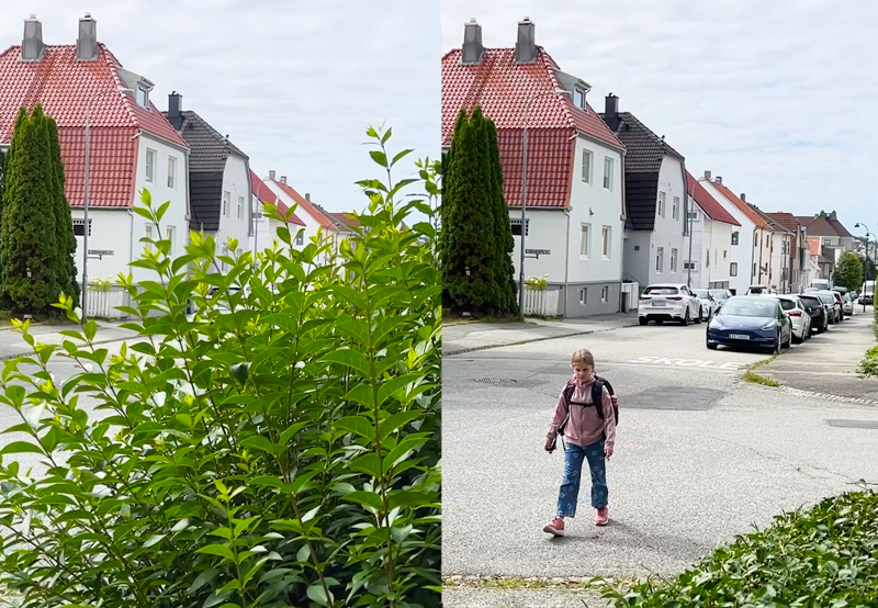 Bildet viser kontrastene mellom en klippet og uklippet hekk.