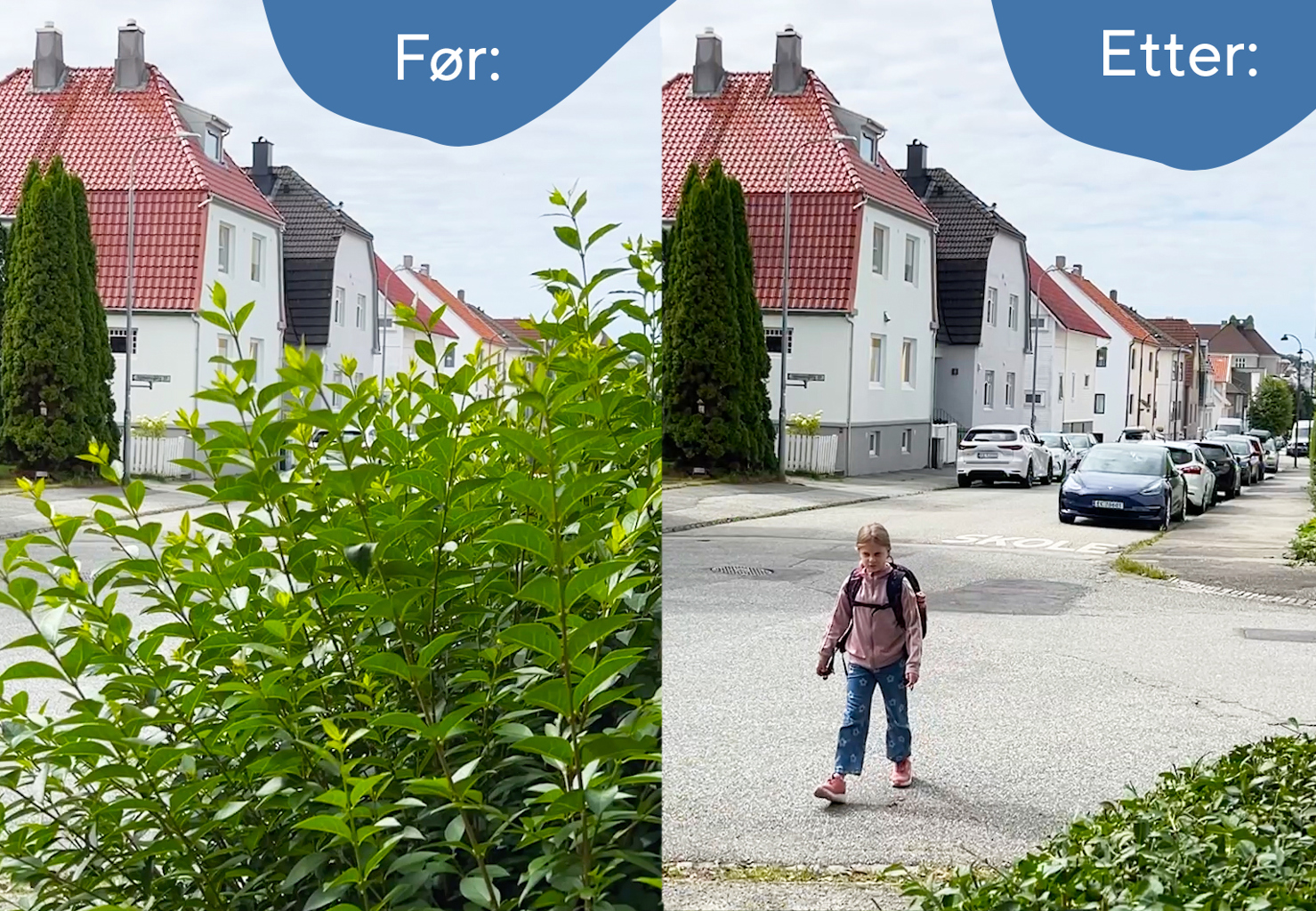 Før og etter hekkeklippingen: Før skolestart om høsten er det ekstra viktig at du har klippet hekken. Bildet viser kontrastene mellom en klippet og uklippet hekk.