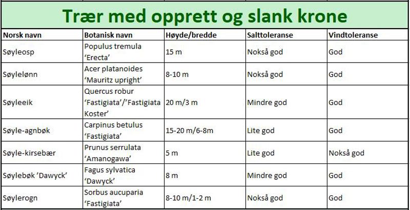 Trær med opprett og slank krone.